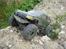 Off-Roader Axial SCX10