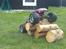 Truck E-maxx brushless *SOLGT*