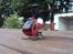 Helikopter Mini T-Rex