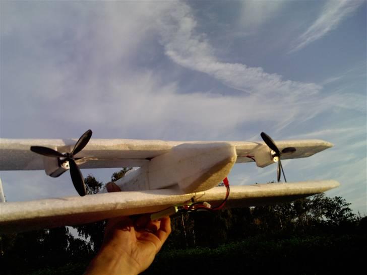Fly DIY dobbeltvinget (død) billede 1