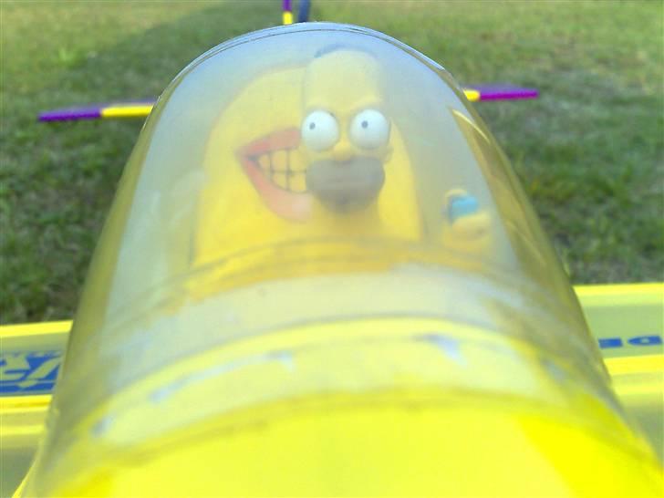 Fly Diablotin 3 D billede 9