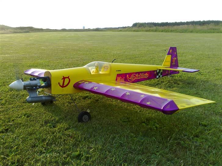 Fly Diablotin 3 D billede 10