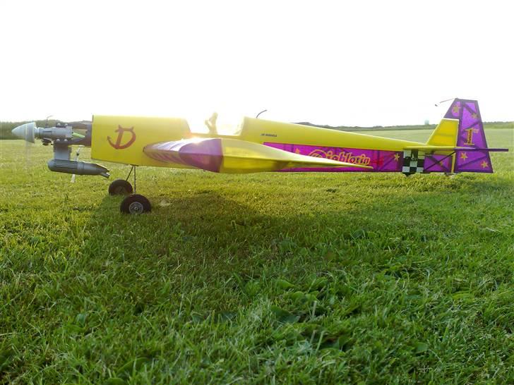 Fly Diablotin 3 D billede 11