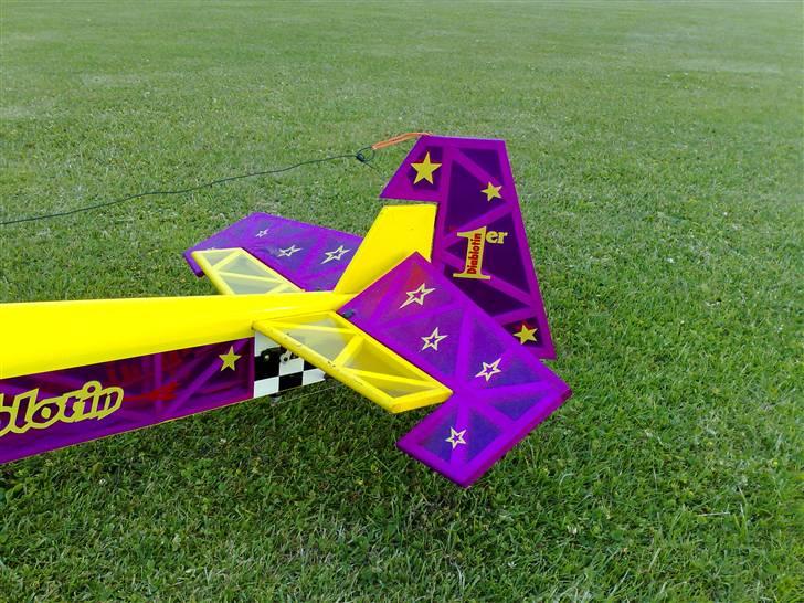 Fly Diablotin 3 D billede 12