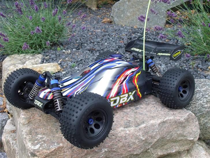 Buggy Kyosho DBX billede 7