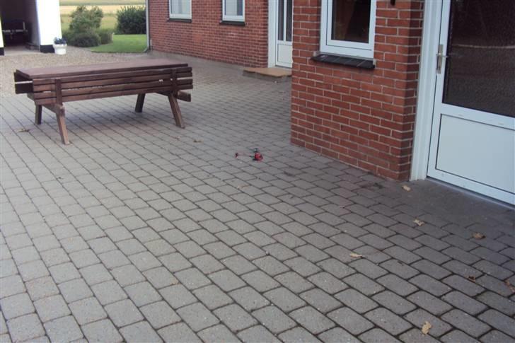 Helikopter Mini T-Rex billede 17