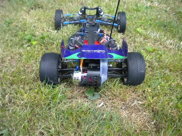 Buggy Team Associated b4 billede 11