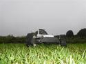 Buggy fg marder