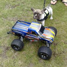 Off-Roader Traxxas Stampede VXL
