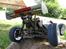 Buggy GV Models Rex-x SOLGT