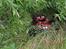 Off-Roader Traxxas Summit