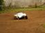 Buggy Hpi Baja 5T. (SOLGT)