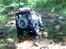 Bil land rover defender 