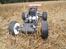 Buggy fg baja