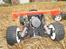 Buggy fg baja
