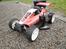Buggy fg baja