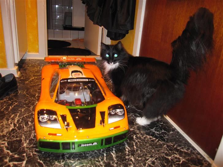 Bil FG-McLaren billede 7