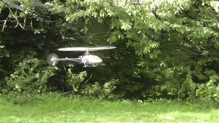 Helikopter e-razor 450 - hover billede 13