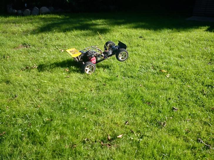 Buggy marder solgt billede 1
