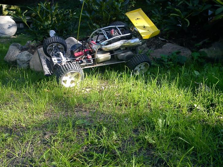 Buggy marder solgt billede 2