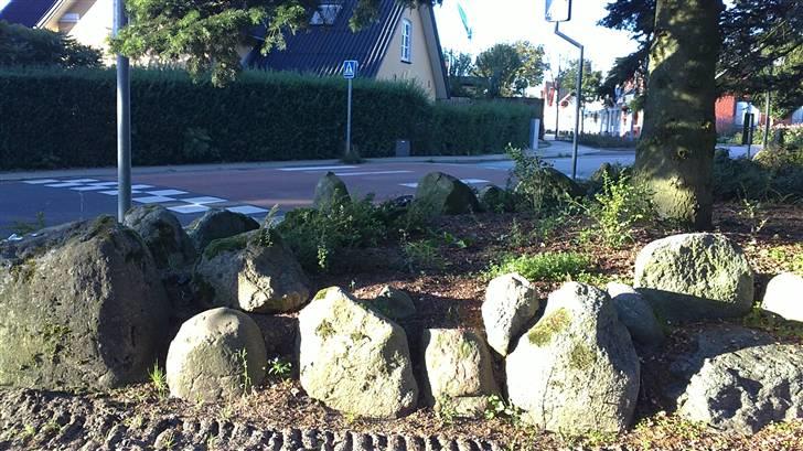 Truck Traxxas E-revo 1/16 VXL - hvor er e-revoen billede 11