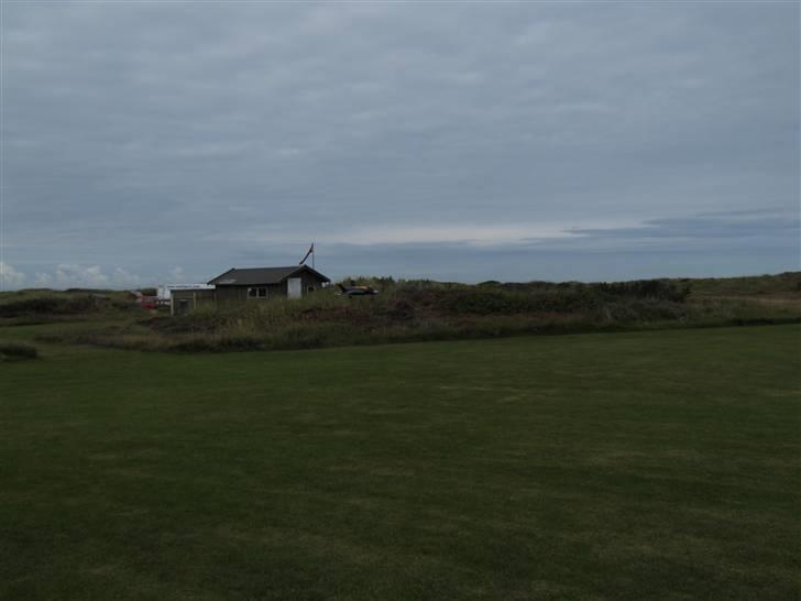 Fly F35 Blue Angels R/C Ducte R.I.P billede 14