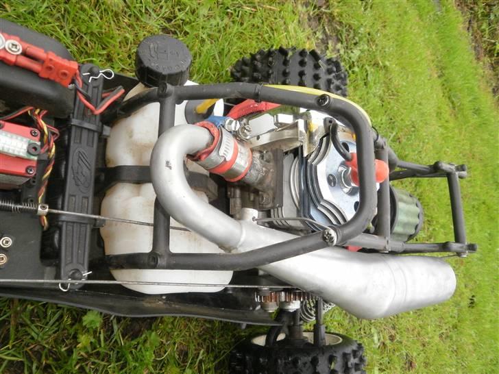 Buggy fg marder billede 15