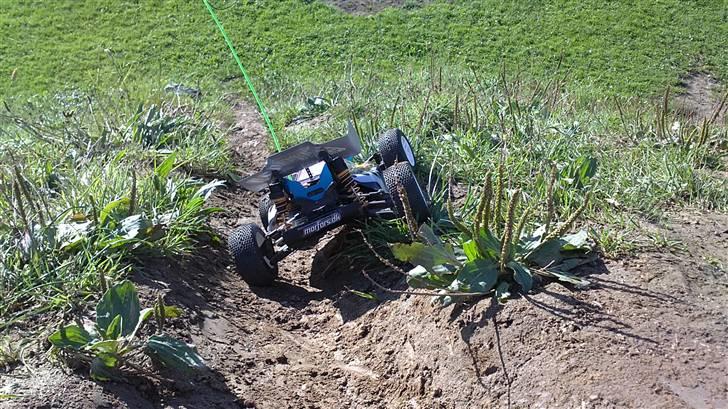 Buggy hbx max buggy xti billede 10