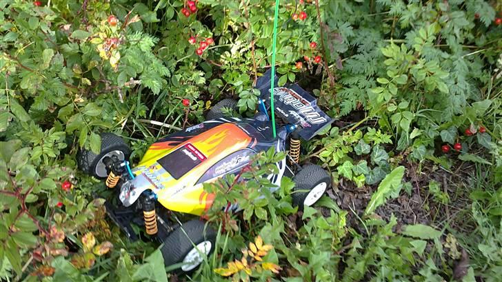 Buggy hbx max buggy xti - den fløj ind i busken billede 17