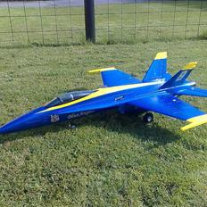Fly F-18 Blue Angels    RIP