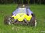Bil FG Leopard Race 