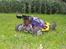 Bil FG Leopard Race 