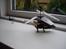 Helikopter phoenix