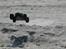 Off-Roader HBX Stealth X09 Truggy