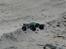 Off-Roader HBX Stealth X09 Truggy