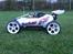 Buggy Fg baja 