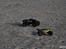 Off-Roader Stealth X09 Truggy Brushl