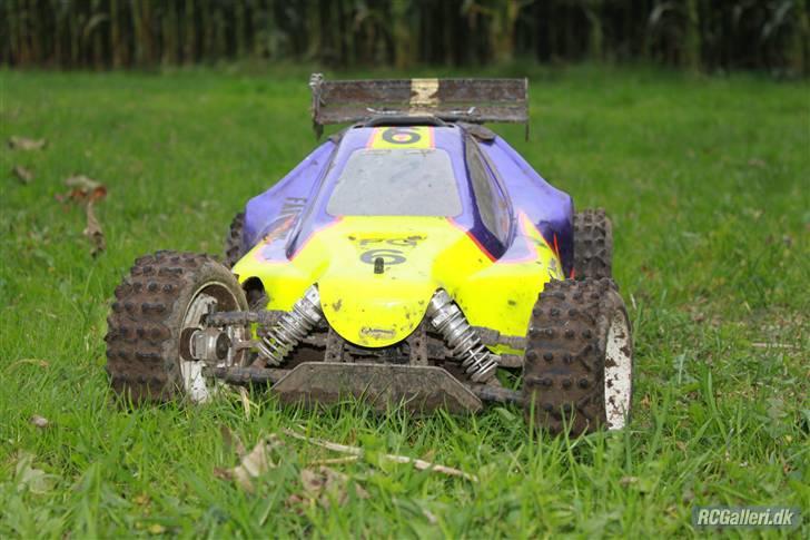 Bil FG Leopard Race  billede 1