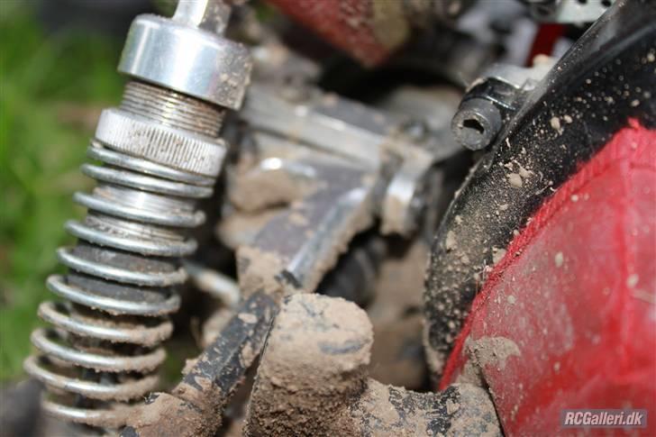 Bil FG Leopard Race  billede 3