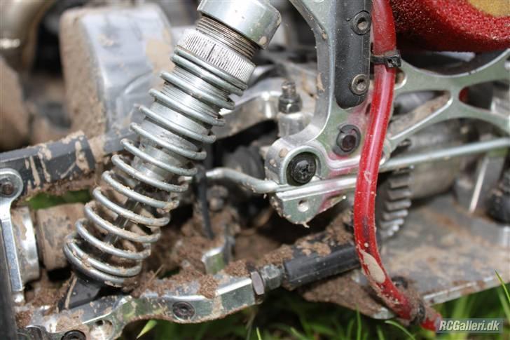 Bil FG Leopard Race  billede 5