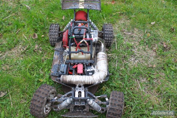 Bil FG Leopard Race  billede 7