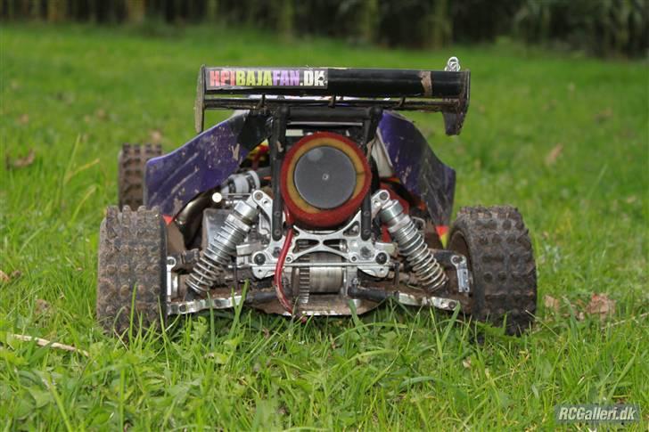 Bil FG Leopard Race  billede 8