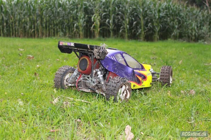 Bil FG Leopard Race  billede 10