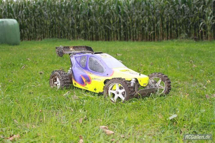 Bil FG Leopard Race  billede 11