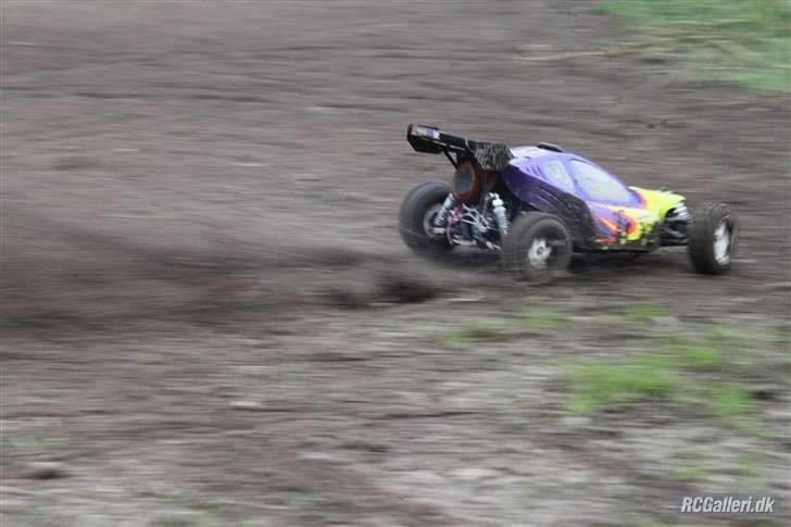 Bil FG Leopard Race  billede 12