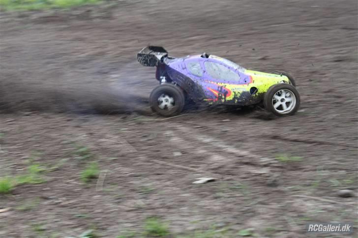 Bil FG Leopard Race  billede 13