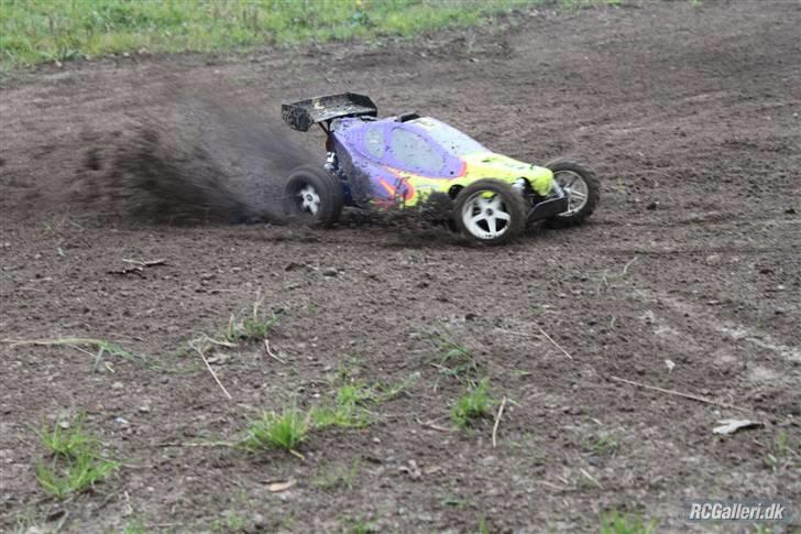 Bil FG Leopard Race  billede 14