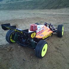 Buggy Losi 8ight 2,0