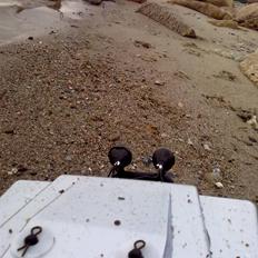 Bil Off-Roader Axial SCX10
