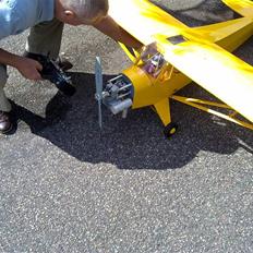 Fly Black Horse Piper Cub.